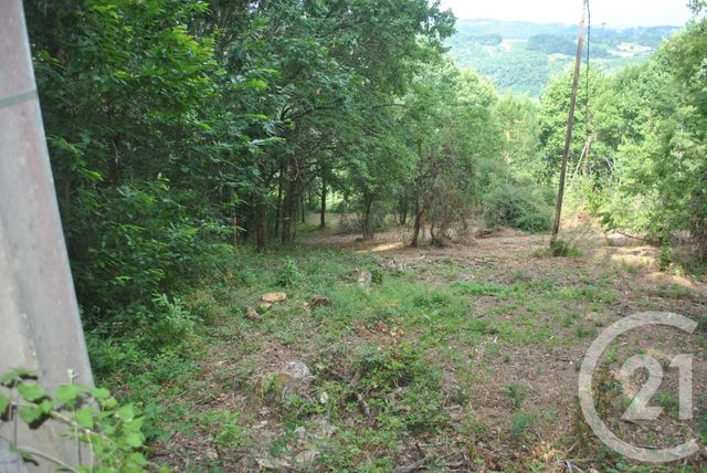Afficher la photo en grand terrain à vendre - 5862.0 m2 - ALTILLAC - 19 - LIMOUSIN - Century 21 Cabinet Théron