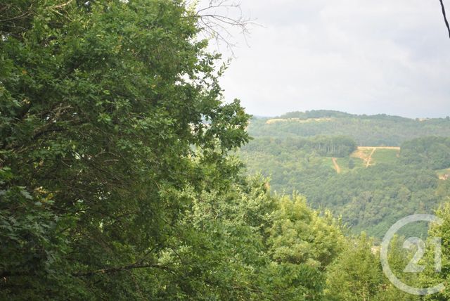 Afficher la photo en grand terrain à vendre - 5862.0 m2 - ALTILLAC - 19 - LIMOUSIN - Century 21 Cabinet Théron