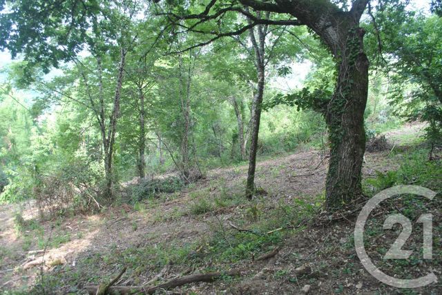 Afficher la photo en grand terrain à vendre - 5862.0 m2 - ALTILLAC - 19 - LIMOUSIN - Century 21 Cabinet Théron