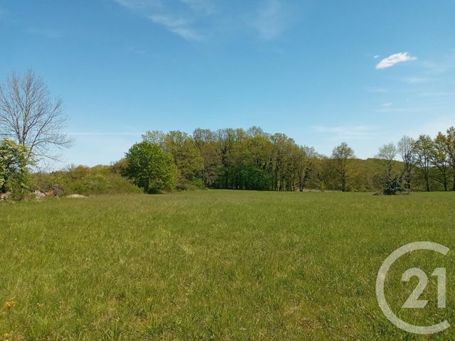 Afficher la photo en grand terrain à vendre - 9800.0 m2 - SARRAZAC - 46 - MIDI-PYRENEES - Century 21 Cabinet Théron