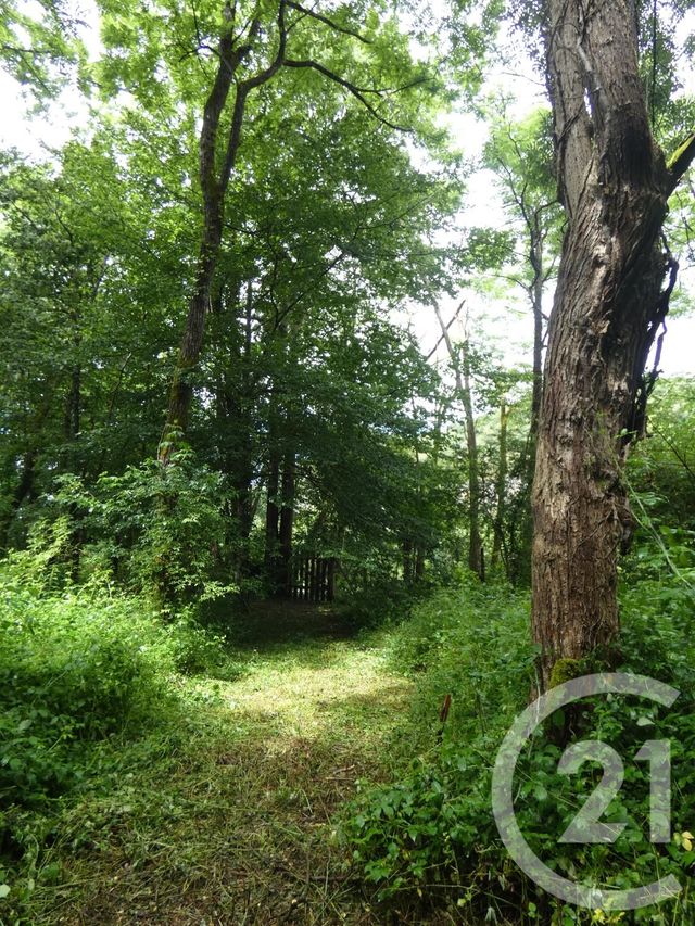 Afficher la photo en grand terrain à vendre - 11354.0 m2 - MONTVALENT - 46 - MIDI-PYRENEES - Century 21 Cabinet Théron