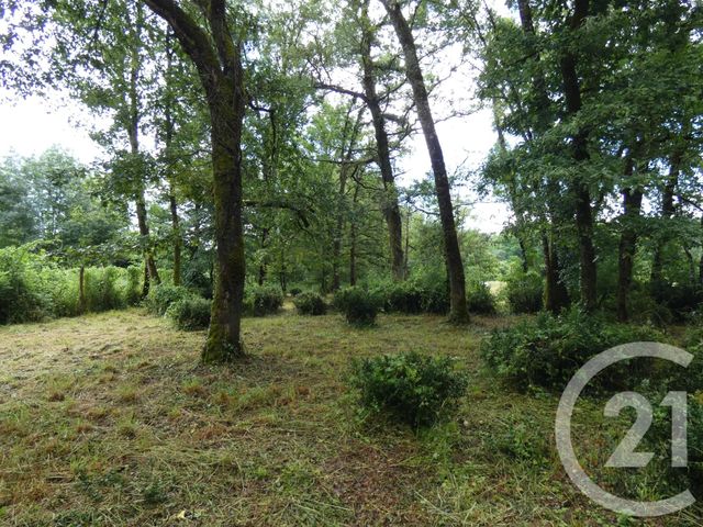 Afficher la photo en grand terrain à vendre - 11354.0 m2 - MONTVALENT - 46 - MIDI-PYRENEES - Century 21 Cabinet Théron