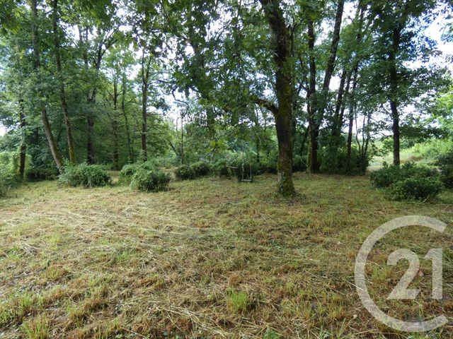 Afficher la photo en grand terrain à vendre - 11354.0 m2 - MONTVALENT - 46 - MIDI-PYRENEES - Century 21 Cabinet Théron