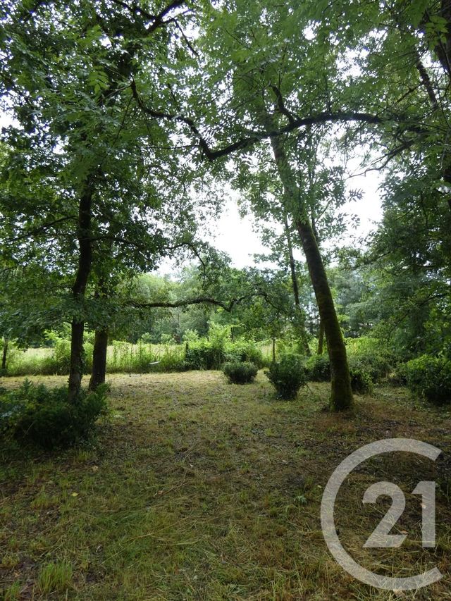 Afficher la photo en grand terrain à vendre - 11354.0 m2 - MONTVALENT - 46 - MIDI-PYRENEES - Century 21 Cabinet Théron