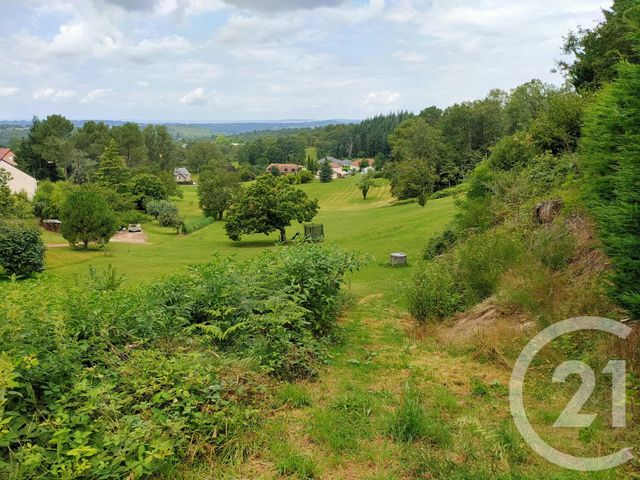Afficher la photo en grand terrain à vendre - 1690.0 m2 - COSNAC - 19 - LIMOUSIN - Century 21 Cabinet Théron
