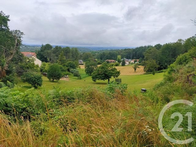 Afficher la photo en grand terrain à vendre - 1690.0 m2 - COSNAC - 19 - LIMOUSIN - Century 21 Cabinet Théron