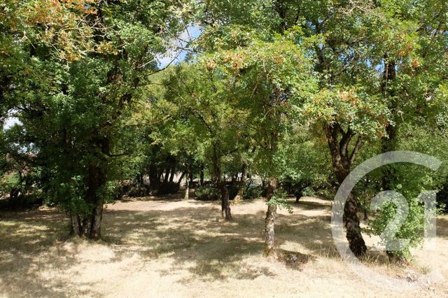maison à vendre - 10 pièces - 308.66 m2 - MIERS - 46 - MIDI-PYRENEES - Century 21 Cabinet Théron