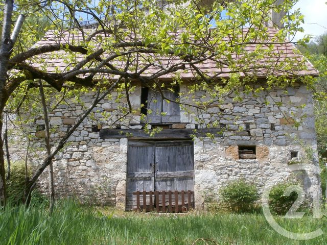 maison - ST DENIS LES MARTEL - 46
