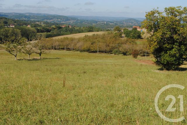 terrain - QUEYSSAC LES VIGNES - 19
