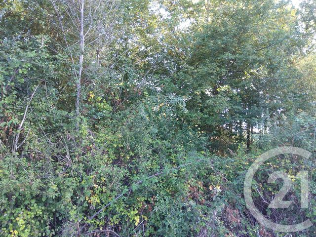 Afficher la photo en grand terrain à vendre - 890.0 m2 - BETAILLE - 46 - MIDI-PYRENEES - Century 21 Cabinet Théron