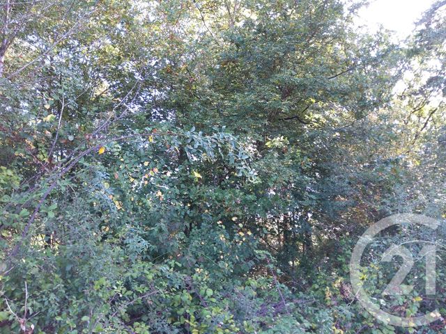 Afficher la photo en grand terrain à vendre - 890.0 m2 - BETAILLE - 46 - MIDI-PYRENEES - Century 21 Cabinet Théron