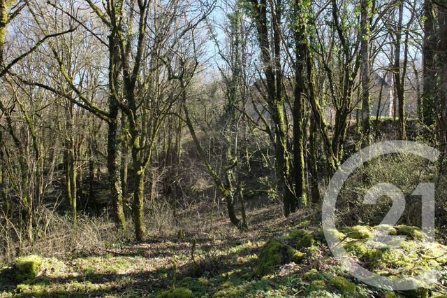 maison à vendre - 3 pièces - 48.0 m2 - BALADOU - 46 - MIDI-PYRENEES - Century 21 Cabinet Théron