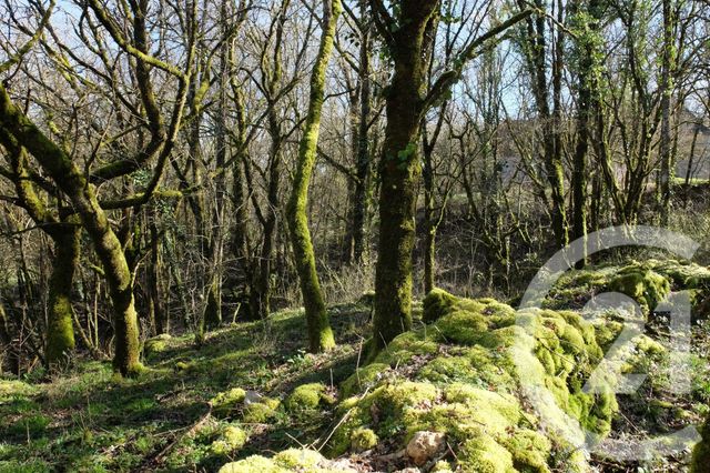 maison à vendre - 3 pièces - 48.0 m2 - BALADOU - 46 - MIDI-PYRENEES - Century 21 Cabinet Théron