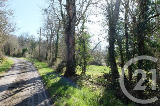 maison à vendre - 3 pièces - 48.0 m2 - BALADOU - 46 - MIDI-PYRENEES - Century 21 Cabinet Théron