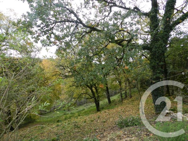 maison à vendre - 12 pièces - 407.0 m2 - GRAMAT - 46 - MIDI-PYRENEES - Century 21 Cabinet Théron