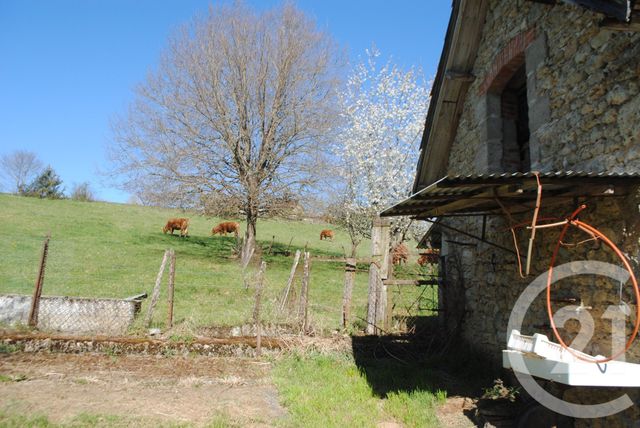 maison à vendre - 8 pièces - 155.0 m2 - BILHAC - 19 - LIMOUSIN - Century 21 Cabinet Théron