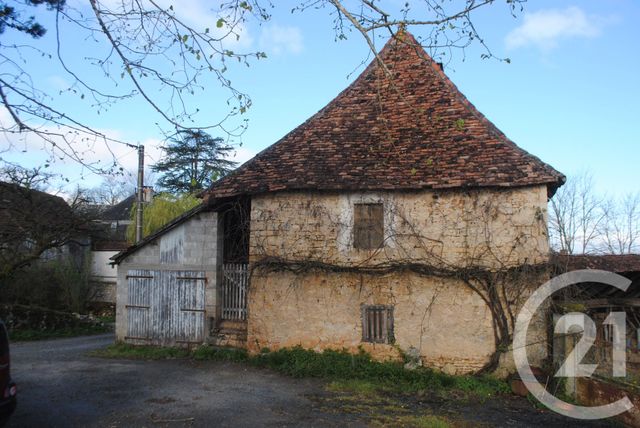 maison - LA CHAPELLE AUX SAINTS - 19