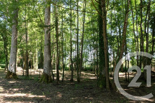 maison à vendre - 6 pièces - 182.0 m2 - LES QUATRE ROUTES DU LOT - 46 - MIDI-PYRENEES - Century 21 Cabinet Théron