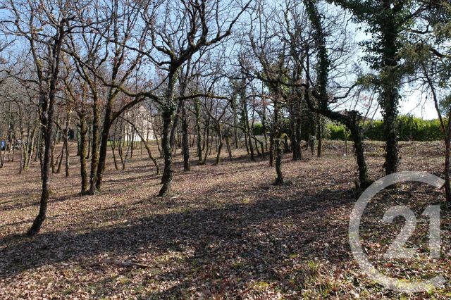 terrain à vendre - 3143.0 m2 - CUZANCE - 46 - MIDI-PYRENEES - Century 21 Cabinet Théron