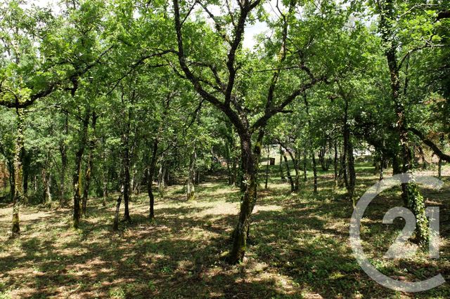 terrain à vendre - 3143.0 m2 - CUZANCE - 46 - MIDI-PYRENEES - Century 21 Cabinet Théron