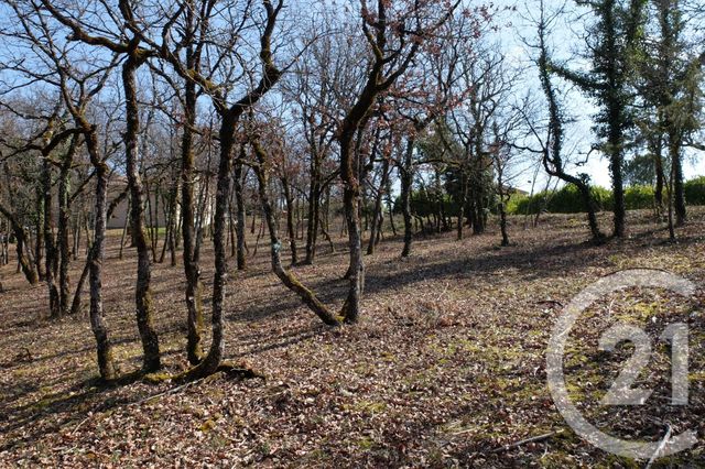 terrain à vendre - 3143.0 m2 - CUZANCE - 46 - MIDI-PYRENEES - Century 21 Cabinet Théron