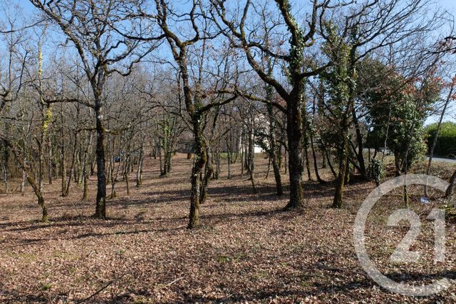 terrain à vendre - 3143.0 m2 - CUZANCE - 46 - MIDI-PYRENEES - Century 21 Cabinet Théron
