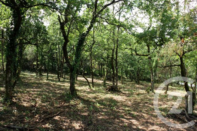 terrain à vendre - 3143.0 m2 - CUZANCE - 46 - MIDI-PYRENEES - Century 21 Cabinet Théron