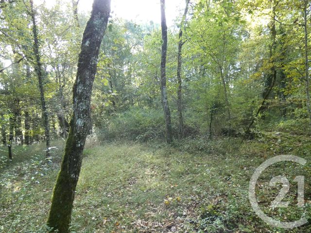 terrain à vendre - 1255.0 m2 - BALADOU - 46 - MIDI-PYRENEES - Century 21 Cabinet Théron