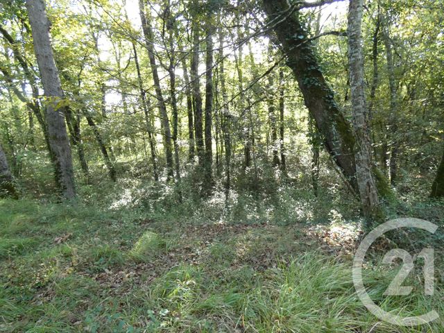 terrain à vendre - 1255.0 m2 - BALADOU - 46 - MIDI-PYRENEES - Century 21 Cabinet Théron