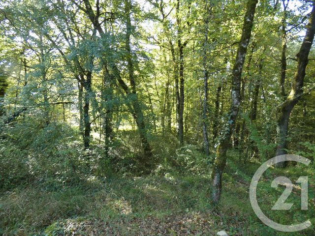 terrain à vendre - 1255.0 m2 - BALADOU - 46 - MIDI-PYRENEES - Century 21 Cabinet Théron