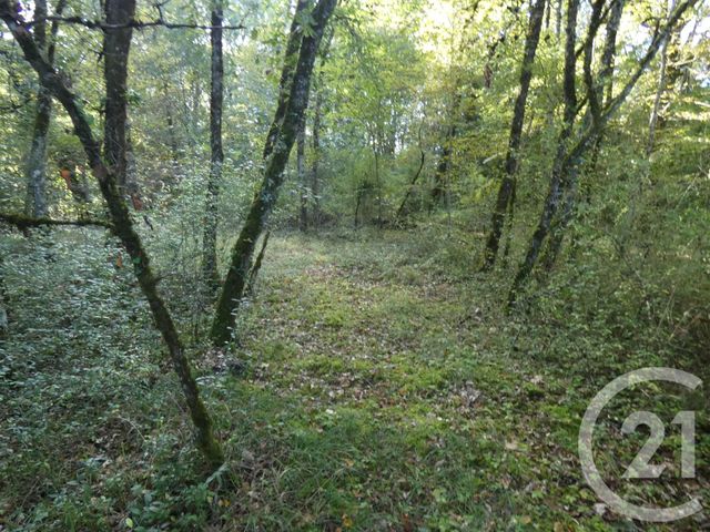 terrain à vendre - 1255.0 m2 - BALADOU - 46 - MIDI-PYRENEES - Century 21 Cabinet Théron