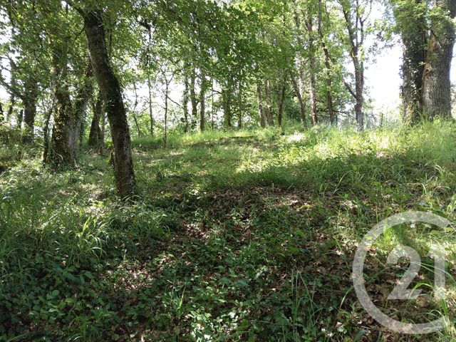 terrain à vendre - 1255.0 m2 - BALADOU - 46 - MIDI-PYRENEES - Century 21 Cabinet Théron