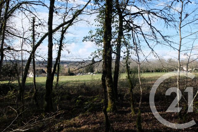 terrain à vendre - 1255.0 m2 - BALADOU - 46 - MIDI-PYRENEES - Century 21 Cabinet Théron