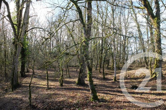 terrain à vendre - 1255.0 m2 - BALADOU - 46 - MIDI-PYRENEES - Century 21 Cabinet Théron