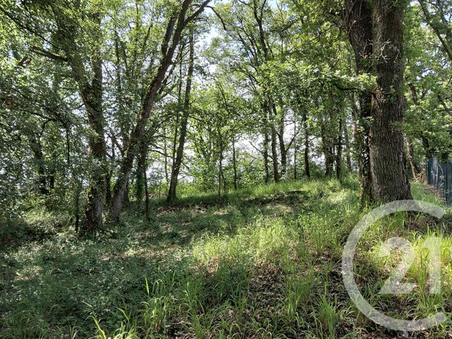 terrain à vendre - 1255.0 m2 - BALADOU - 46 - MIDI-PYRENEES - Century 21 Cabinet Théron