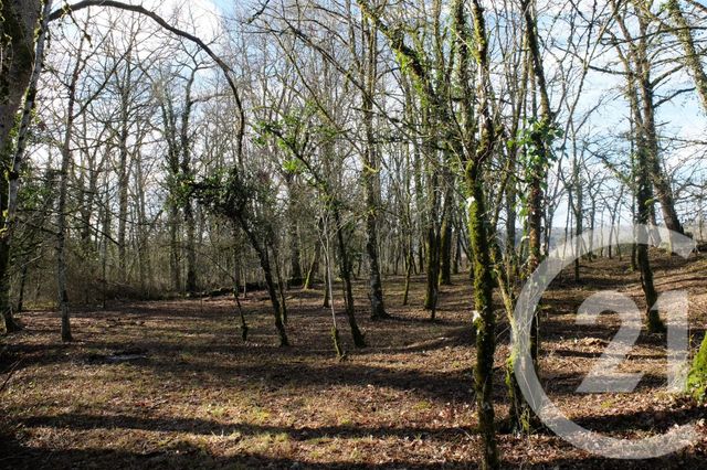 Terrain à vendre BALADOU