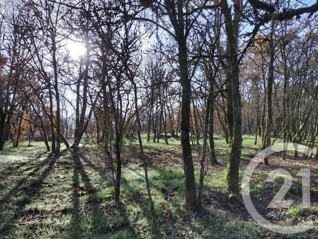 terrain à vendre - 4375.0 m2 - MONTVALENT - 46 - MIDI-PYRENEES - Century 21 Cabinet Théron