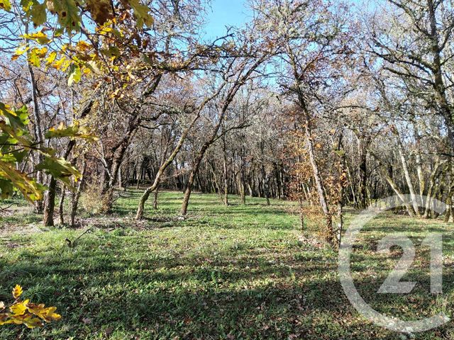 terrain à vendre - 4375.0 m2 - MONTVALENT - 46 - MIDI-PYRENEES - Century 21 Cabinet Théron