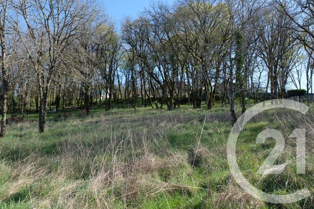 terrain - MARTEL - 46