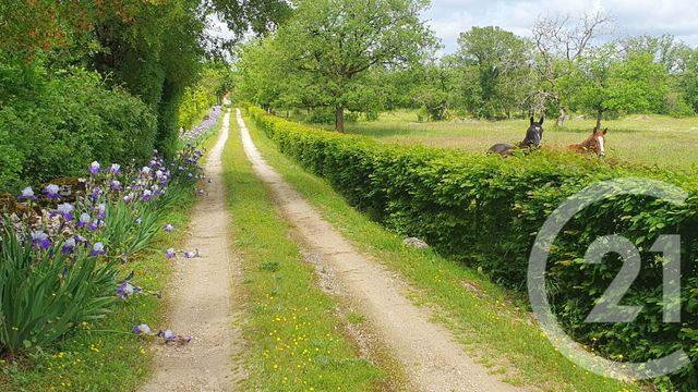 maison à vendre - 12 pièces - 370.0 m2 - MONTVALENT - 46 - MIDI-PYRENEES - Century 21 Cabinet Théron